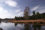 šumava - 2007 horní vltava
