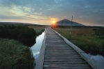 krkonoše - 2004 úpské rašeliniště